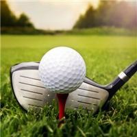 ⛳️Golf putting green carpet【Only 100 orders left】