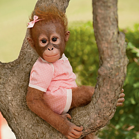 "Annabelle's Hugs" Lifelike Baby Monkey Doll