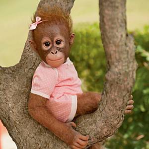"Annabelle's Hugs" Lifelike Baby Monkey Doll