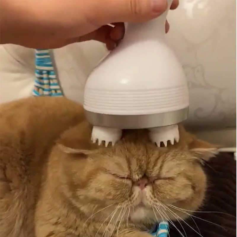 Electric Head Massager