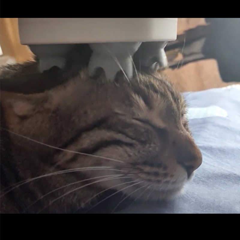 Electric Head Massager